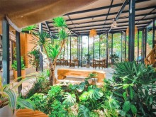 Image: 4 green cafes in the middle of Nha Trang beach town