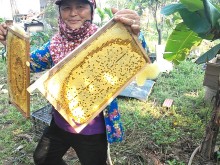 Image: US plans to launch anti-dumping probe into Vietnamese honey
