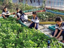 Image: Ho Chi Minh City students learn by growing school gardens