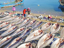 Image: U S blocks seafood from Chinese fleet suspecting of forced labor with crew