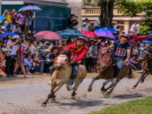 Image: Bac Ha traditional horse race recognised as national intangible heritage