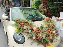 Image: Wedding car decorated with Bac Giang lychees goes viral