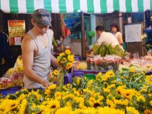 Image: Top 6 top tips to experience life in Saigon