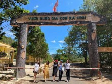 Image: With close friends “traveling” Kon Ka Kinh National Park, Gia Lai