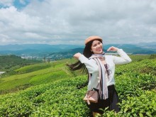 Image: Discover the beautiful Tan Uyen tea hill like a painting in Lai Chau land