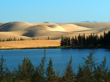 Image: Discover the Beauty of Binh Thuan Sand Dunes