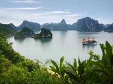 Image: Ha Long tourism: A guide from A to Z (Updated with the latest information in 2021)
