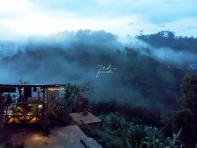 Image: Chill out at the “café in the middle of the forest, view of the hills” right in Da Lat – In The Forest Da Lat