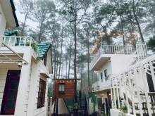 Image: Sunny Homestay Mang Den – homestay view of the dreamy pine forest in the mountains of the Central Highlands