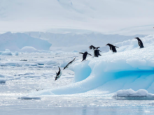 Image: The Best Bucket List Travel Expriences In Antarctica