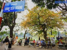 Image: 7 most beautiful streets in Hanoi in autumn