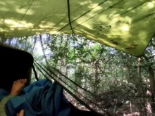 Image: Camping group to escape the epidemic in the forest for 1.5 months