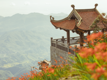 Image: Flowers bloom brilliantly on the way to the top of Fansipan