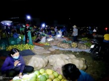 Image: Grapefruit night market