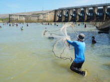 Image: People rush to catch ‘terrible’ fish in Tri An Lake