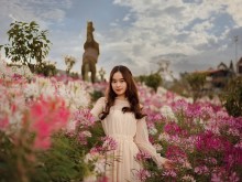 Image: The beautiful flower gardens in Vietnam show ‘so beautiful’ pictures, check-in for a session with virtual pictures all year round