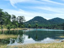 Image: Tuyen Lam Lake, Lost in the Heart of Da Lat Street