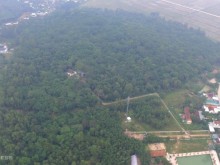 Image: An ancient ironwood forest in the middle of a residential area in Nghe An