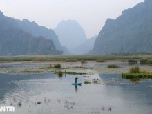 Image: The unspoiled landscape of the largest wetland in the Hong River Delta