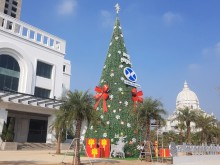 Image: Admire the “giant” Christmas tree as tall as a 5-story building in Ninh Binh