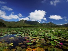 Image: Explore An Hai Lake Con Dao to admire the beautiful scenery like a ‘paradise under the earth’