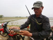 Image: Fishing for snakehead fish