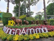 Image: Free entrance to the largest Spring Flower Festival in Ho Chi Minh City