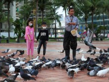 Image: The person who takes care of more than 1,000 pigeons by the East Sea