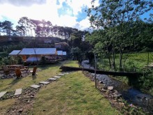 Image: Luxury camping in Da Lat on the first day of the year