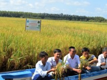 Image: Ecoagriculture - An option for Vietnam’s agriculture