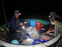 Image: Night crab nets make millions