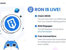 Image: Axie Infinity has officially launched the RON token