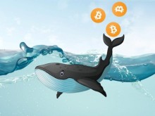 Image: Crypto News Jan 24: Whales didn’t buy bitcoin dips in the last recession with Core Scientific, BabyDoge, Azuro, CBDC, NFT News
