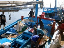 Image: Fishermen hit big with ocean tuna