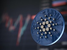 Image: Investors were showered with cold water in the middle of the “war of words” between two projects on Cardano