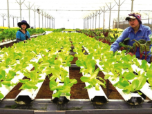 Image: Vietnam’s agriculture in race to digital transformation