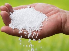 Image: Fertilizer prices are forecasted to decrease in 2022