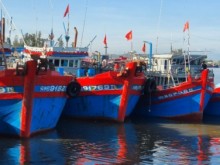 Image: Quang Ngai: Changes seen in the effort to get the IUU 'yellow card' removed
