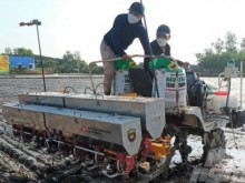 Image: Dream-like profit from smart rice production