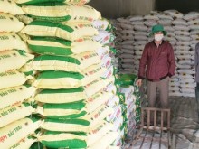 Image: Farmers deal with hiked fertiliser prices