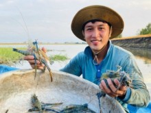 Image: Mekong Delta agriculture targets 'Green-Ecology-Sustainability'