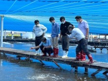 Image: Promoting application of Semi-Biofloc shrimp farming technology