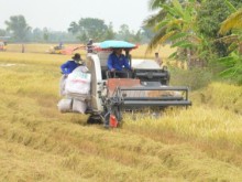 Image: Saving billions thanks to “Big paddy”