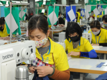 Image: Effective implementation of trade deals challenges Vietnamese firms