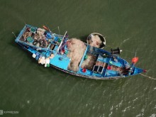 Image: Carrying hired fish on Long Hai sea