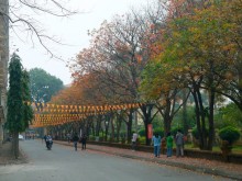 Image: Young people check-in the ‘love road’ in Hanoi￼