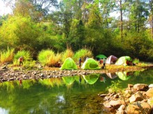 Image: Four nature tours near Ho Chi Minh City for 4/30