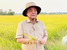 Image: Confidently building a brand name for Mekong Delta Agriculture