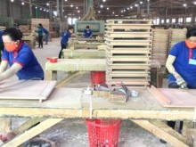 Image: Developing material areas for wood processing industry reaches urgent time now
