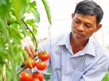 Image: Digital transformation helps cooperatives follow development trend